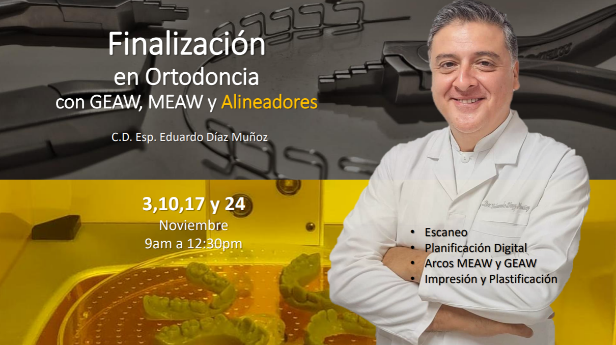 Curso destacado